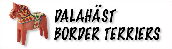 dalalogo.jpg